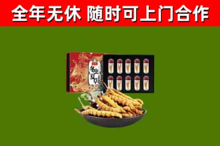 海西州回收冬虫夏草价格